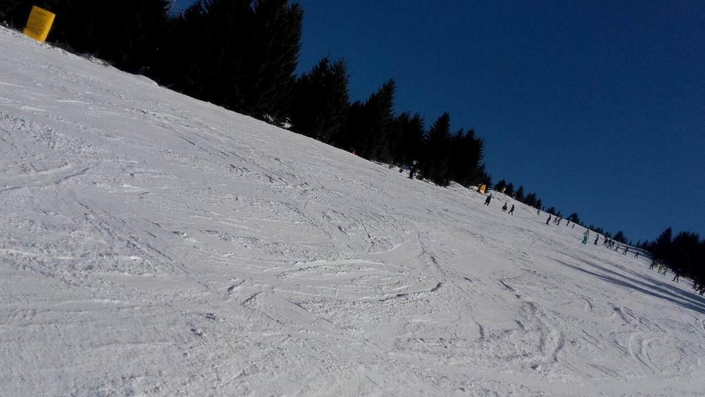 Apartment Sofi Yeti Kopaonik Kültér fotó