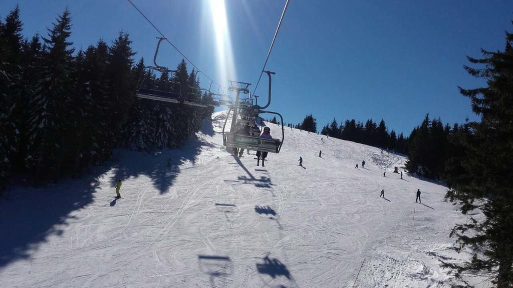 Apartment Sofi Yeti Kopaonik Kültér fotó