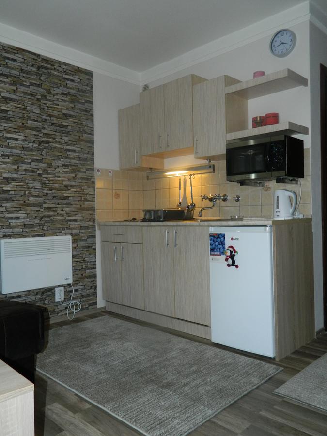 Apartment Sofi Yeti Kopaonik Kültér fotó